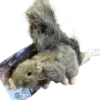 Sale AFP Egern Lille 15x18 cm - sød hundebamse til små hunde Hundelegetøj Til Alle Hunde Leg Og Aktivering Året Rundt|Legetøj Til Hvalpe - Sjov Leg, Aktivering Og Tryghed Fra Første Dag