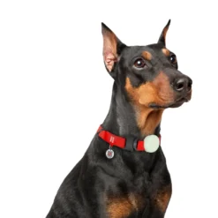 Outlet AirTag Holder GLOW silikone til Halsbånd 15-40 mm Hundehalsbånd Med Stil - Komfort Og Sikkerhed Til Din Hund