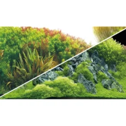 Akvariebaggrund Beplantet flod / Grønne klipper (50 cm høj) 120 cm Akvariebaggrunde