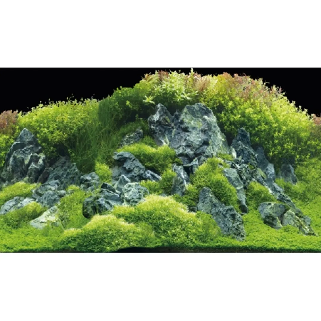 Akvariebaggrund Beplantet flod / Grønne klipper (50 cm høj) 120 cm Akvariebaggrunde