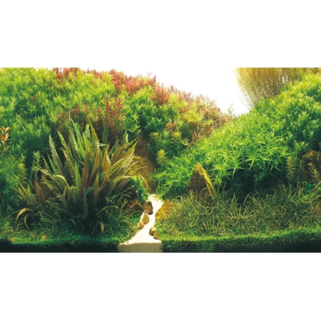 Akvariebaggrund Beplantet flod / Grønne klipper (50 cm høj) 120 cm Akvariebaggrunde