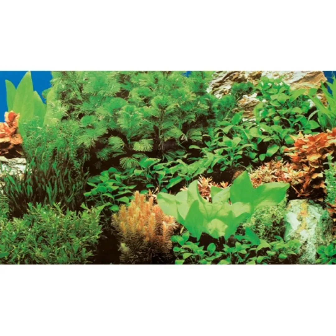 Discount Akvariebaggrund Marin blue / Plant 8 (50 cm høj) 100 cm Akvariebaggrunde