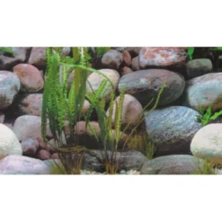 Online Akvariebaggrund Sten 1/2 (50 cm høj) 120 cm Akvariebaggrunde