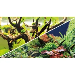 Outlet Akvariebaggrund Wood Island / Green secret (50 cm høj) 120 cm Akvariebaggrunde