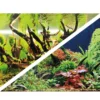 New Akvariebaggrund Wood Island / Green secret (60 cm høj) pr meter Akvariebaggrunde