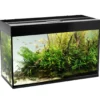 Akvarium Glossy Sort 120 cm 260 Liter Akvarier