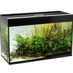 Akvarium Glossy Sort 120 cm 260 Liter Akvarier