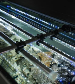 Best Akvarium Glossy 150 Sort 472 Liter Akvarieborde Og Akvariereoler|Akvarier