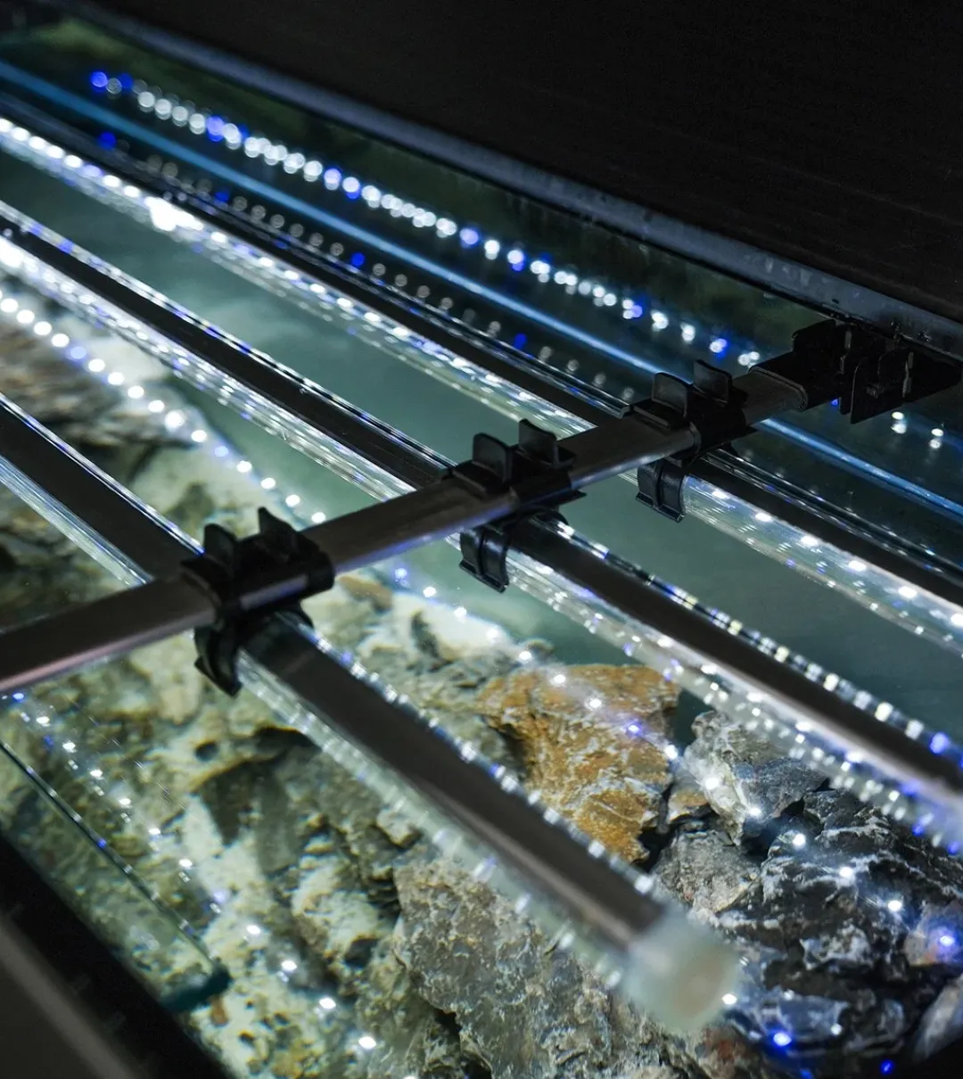 Best Akvarium Glossy 150 Sort 472 Liter Akvarieborde Og Akvariereoler|Akvarier