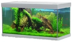 Hot Fusion 250 liter akvarium Akvarier