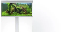 Best Fusion 325 liter akvarium Akvarier