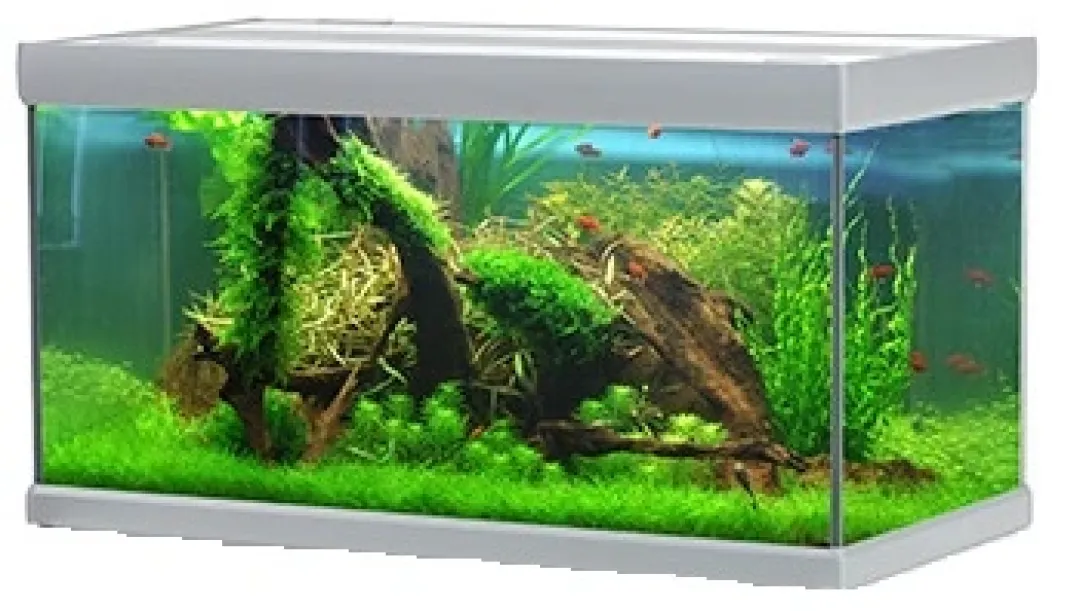 Outlet Fusion 720 liter akvarium Akvarier