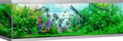 Hot Fusion 900 liter akvarium Akvarier