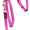 Sale Allecat Kattesele og Linesæt 24-40 cm 1,8 m 11 mm Pink Kattehalsbånd Og Katteseler