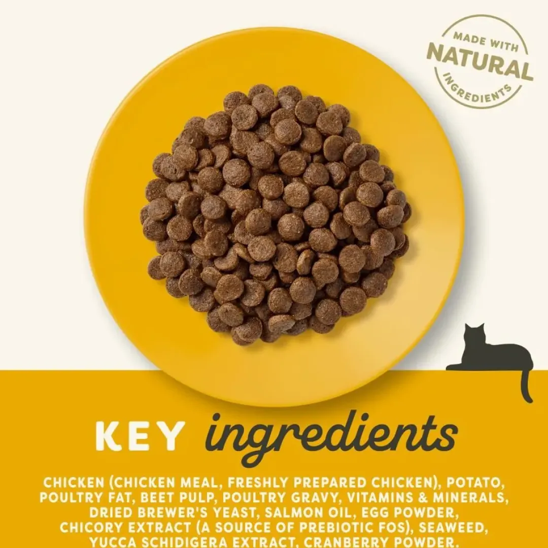 Online Applaws Kattefoder Senior Kylling 2 kg Kattefoder & Snacks