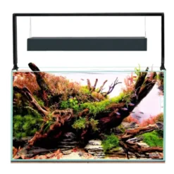 Clearance Akvarie og Lampe Ultra Scape 60 Forest Akvarier