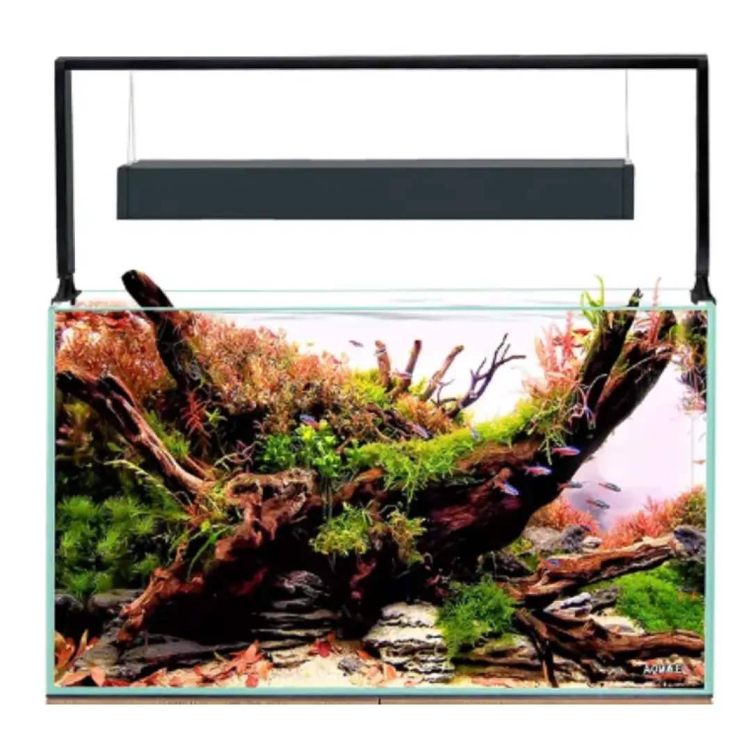 Clearance Akvarie og Lampe Ultra Scape 60 Forest Akvarier