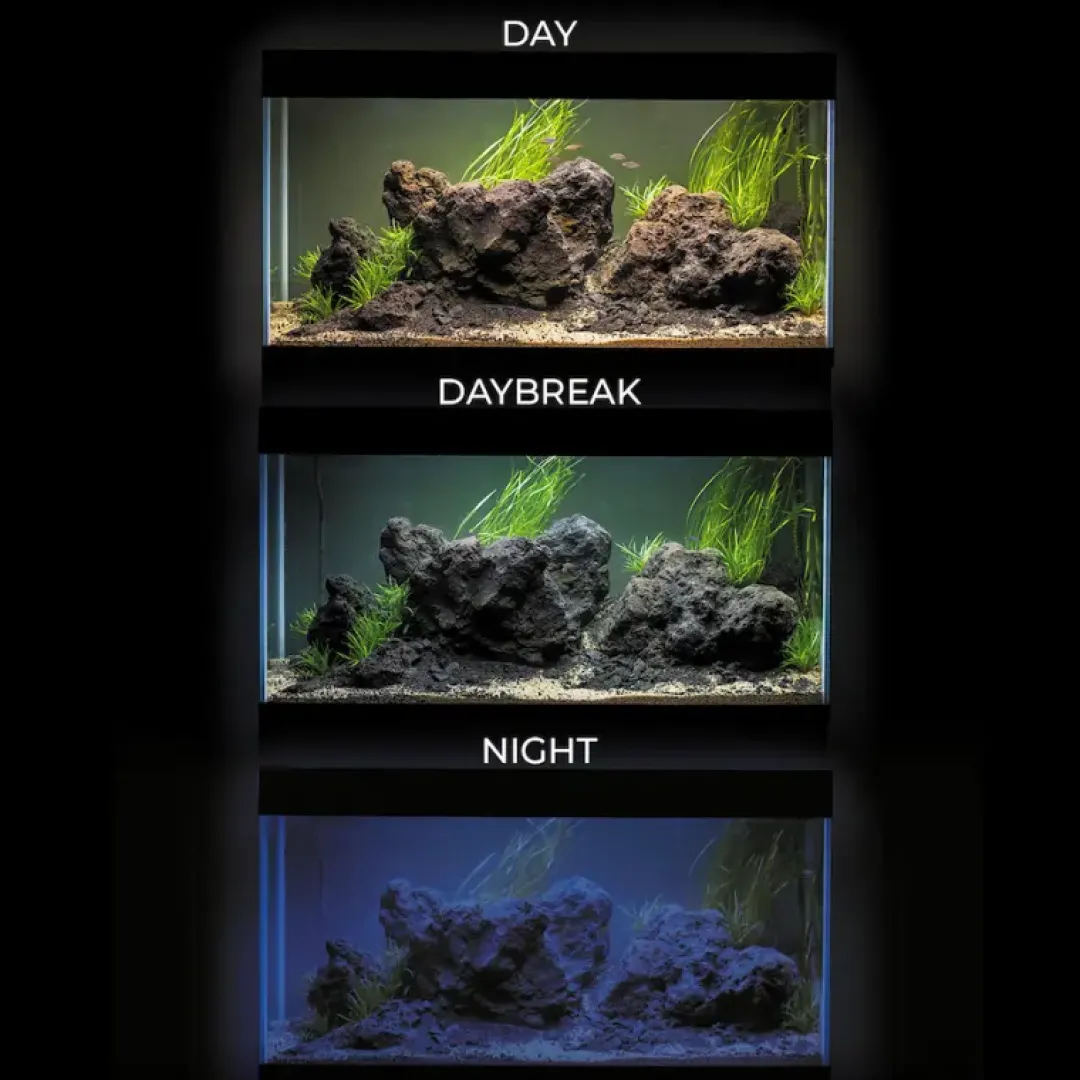 Clearance Akvarie og Lampe Ultra Scape 60 Forest Akvarier