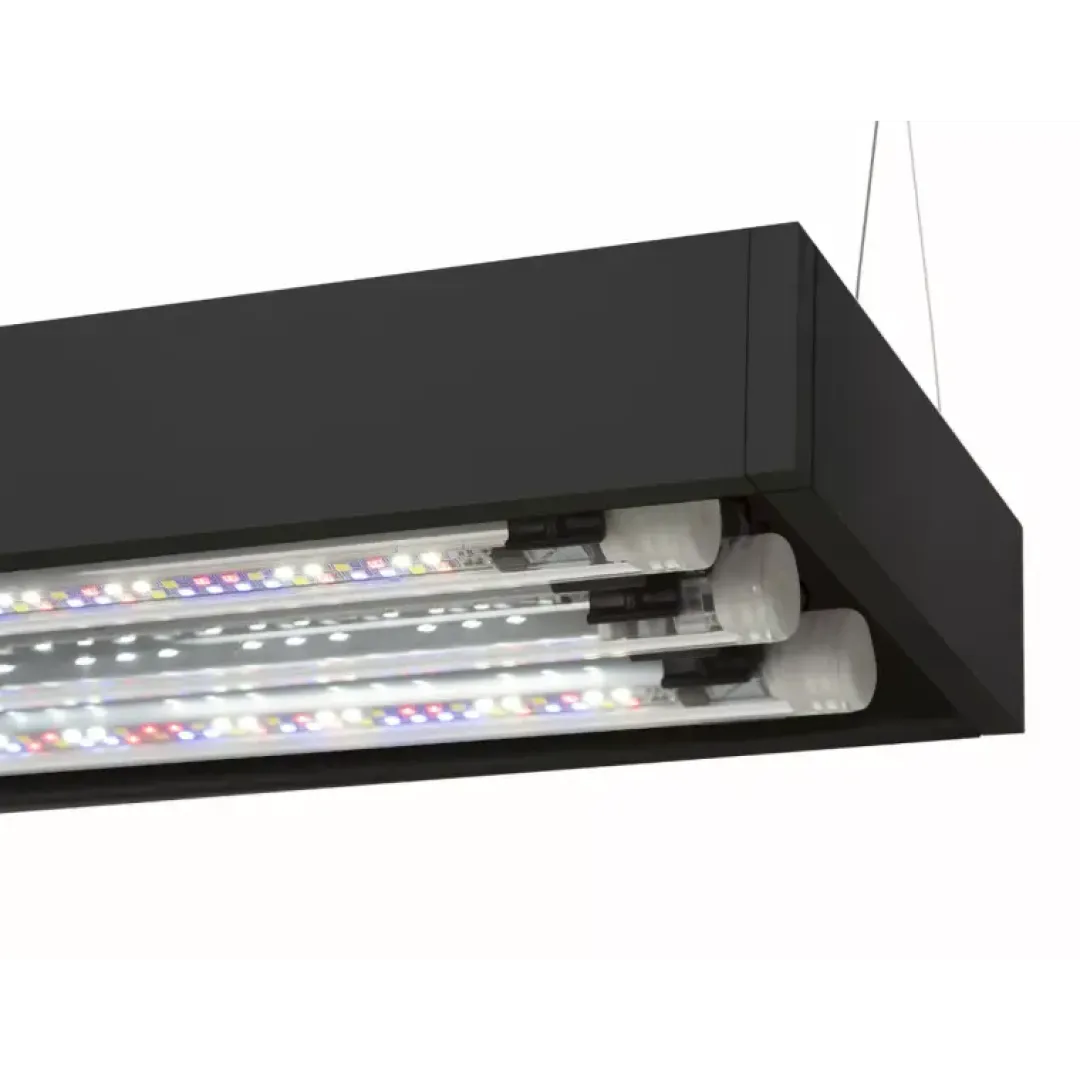 Clearance Akvarie og Lampe Ultra Scape 60 Forest Akvarier