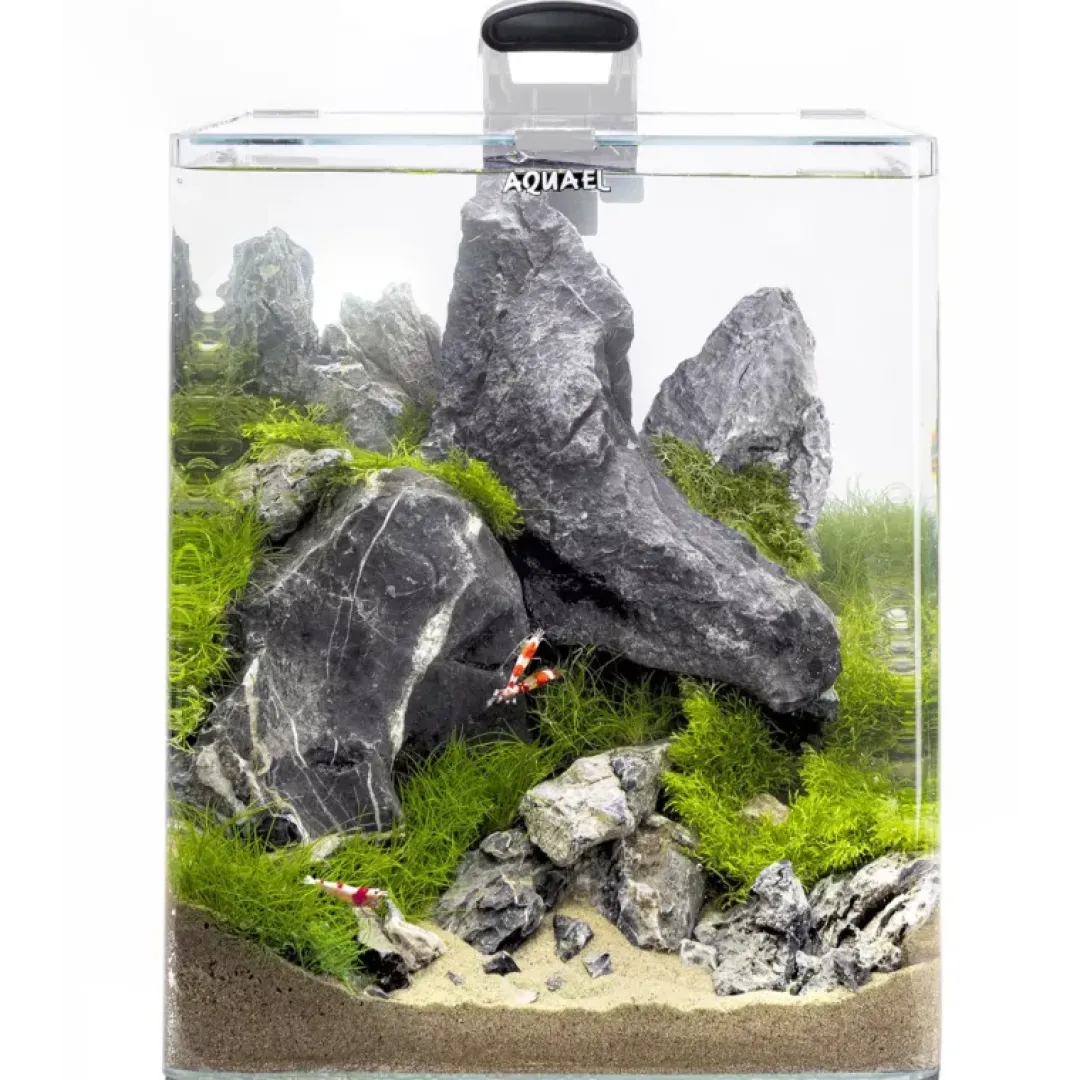 Discount Akvarie Opti Bent Hvid 30 Liter Akvarier