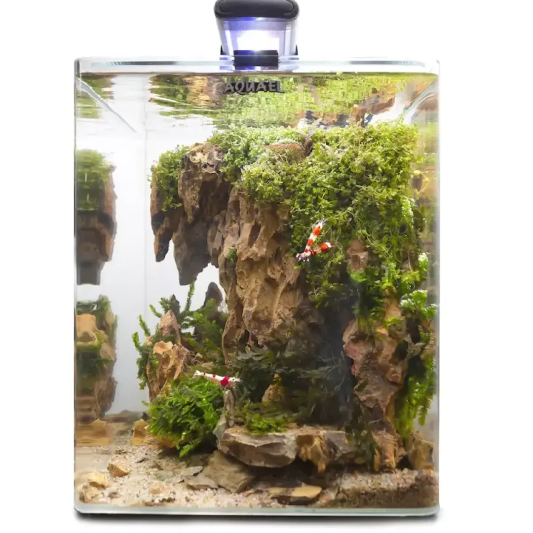 Hot Akvarie Opti Bent Sort 30 Liter Akvarier