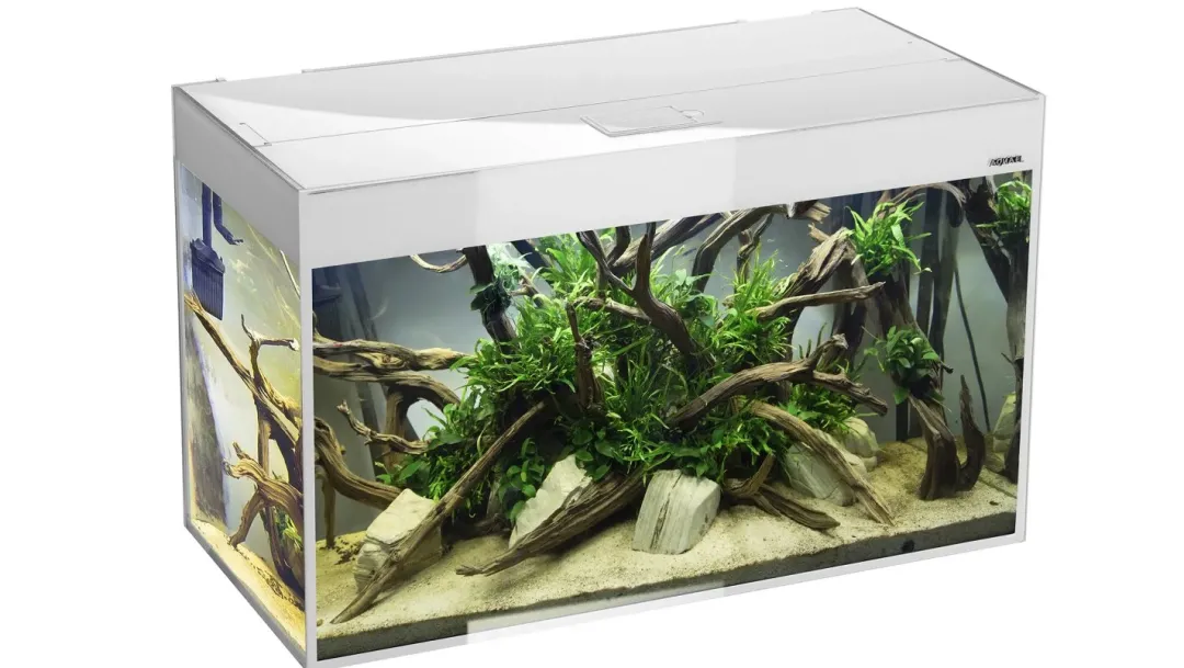 Clearance Glossy akvarie i Hvid 120 cm 260 Liter Akvarier