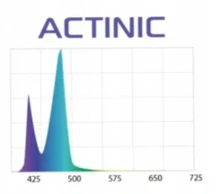 Sale Leddy Tube RetroFit ACTINIC 18 W 115-120 cm Akvarielamper