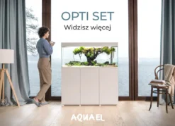 Discount Optiset 240 Hvidt akvarium Akvarier