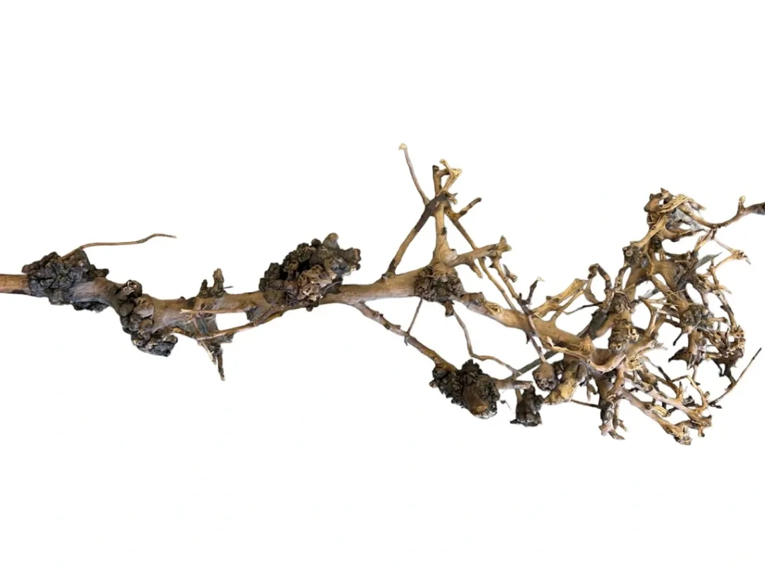 Clearance Aquascaping Root 25-35 cm Aquascaping|Dekoration Til Terrarier