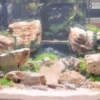 Aquascaping sten Red Multilayer pr kg Aquascaping|Dekoration Til Terrarier