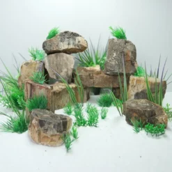 Discount AquaScaping sten Wood Fossil pr kg Aquascaping|Dekoration Til Terrarier