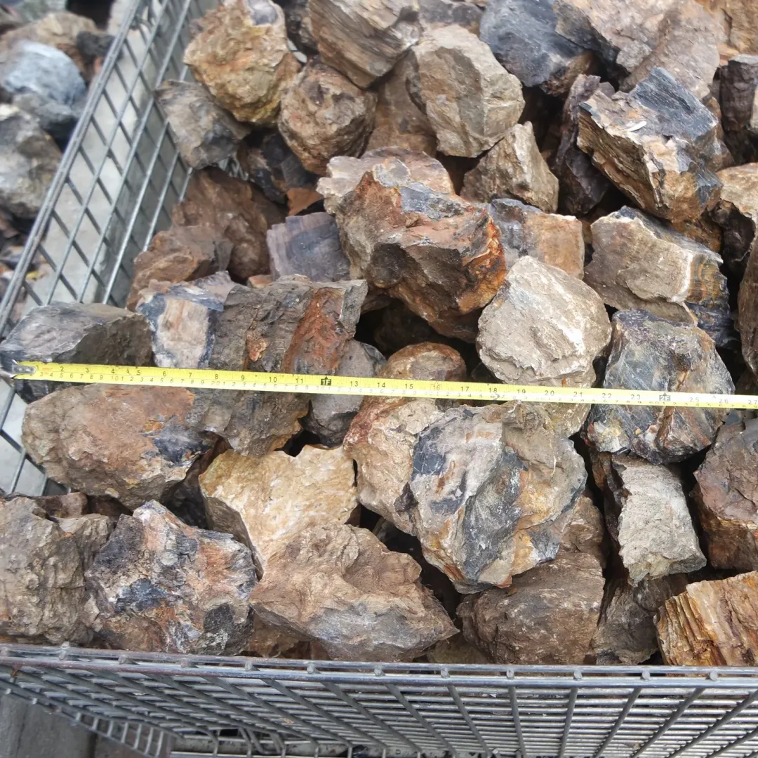 Discount AquaScaping sten Wood Fossil pr kg Aquascaping|Dekoration Til Terrarier