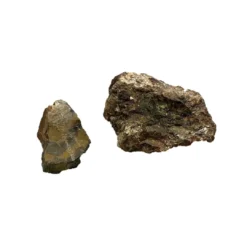 Discount AquaScaping sten Wood Fossil pr kg Aquascaping|Dekoration Til Terrarier