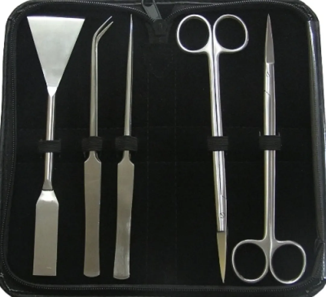 New Aquascaping Tools Kit til Planter 20 cm Akvarieplanter