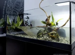 New Aqua Terrarium 80x35x30,5 cm til Sumpskildpadder Terrarier Og Terrarielamper
