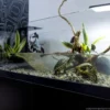 Hot Aqua Terrarium 100x35x40,5 cm til Sumpskildpadder Terrarier Og Terrarielamper