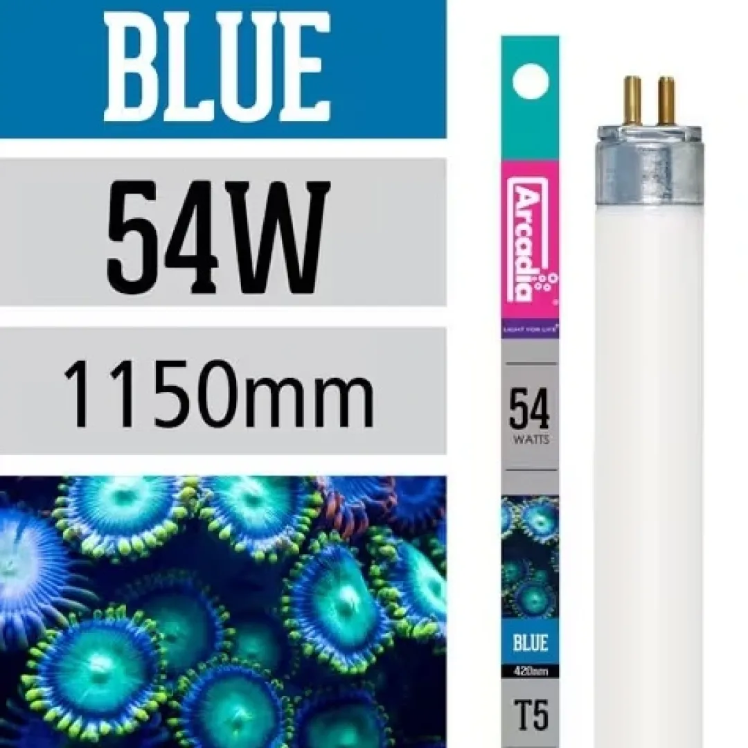 Sale Actinic Marine Blå lysstøfrør T5 54 Watt Lysstofrør Og Pærer Til Akvarier