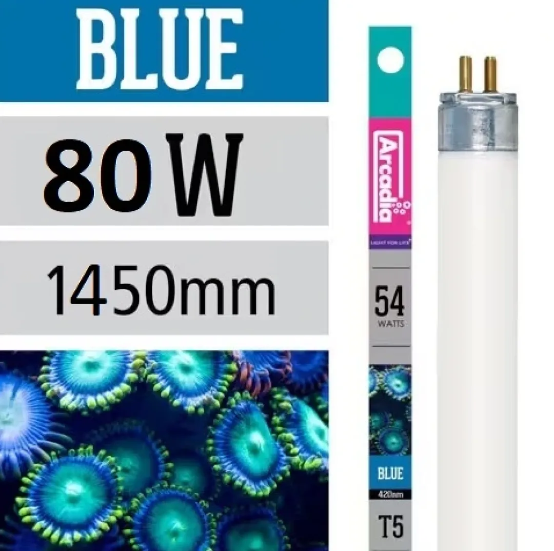 Hot Actinic Marine Blå lysstøfrør T5 80 Watt Lysstofrør Og Pærer Til Akvarier