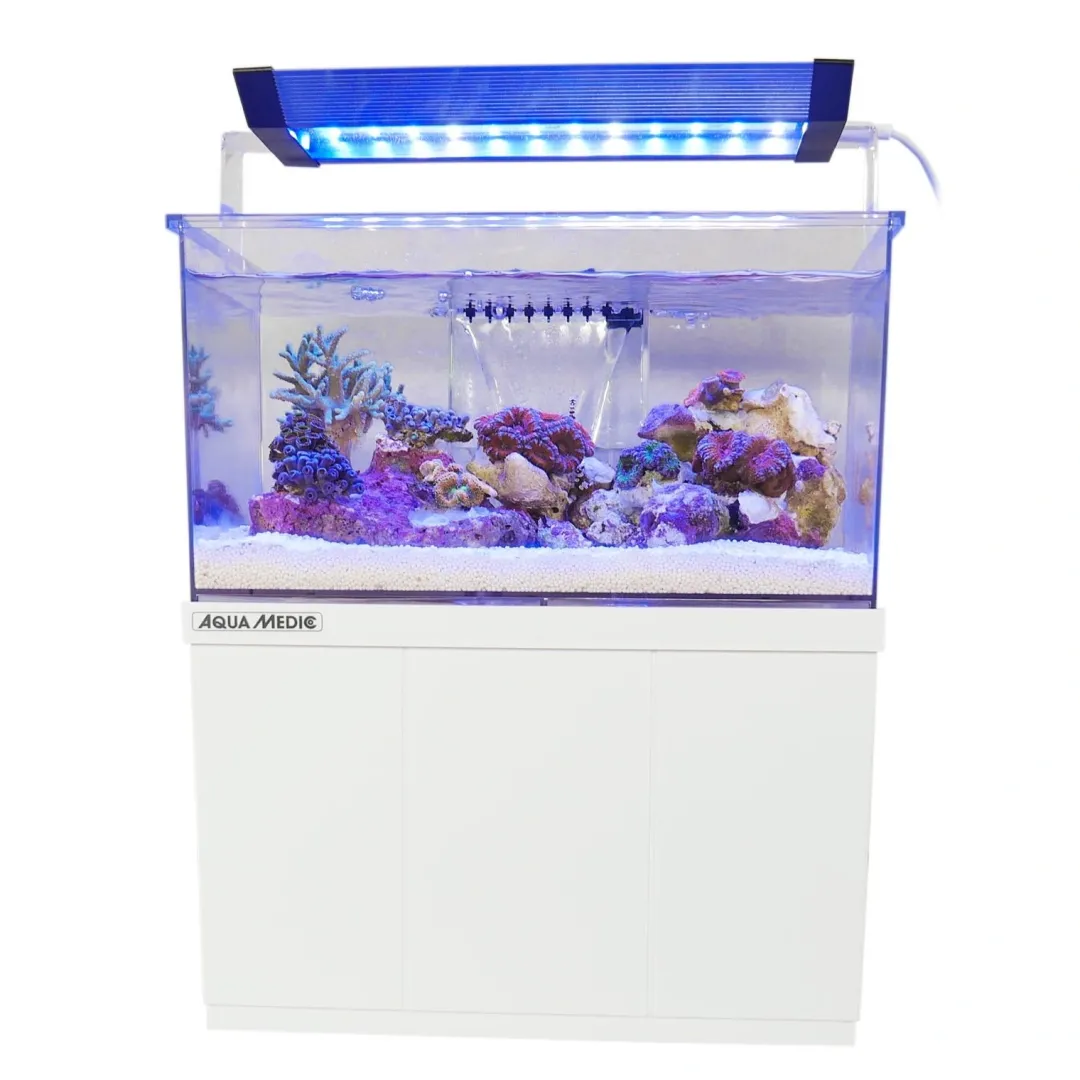 Online Armatus XS Saltvandsakvarium med sump 4 Liter Akvarier Til Saltvandsfisk|Akvarier