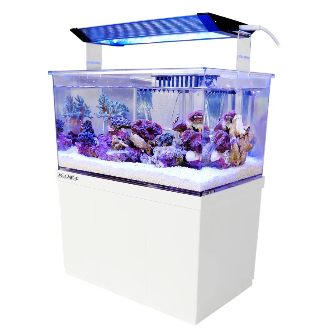Online Armatus XS Saltvandsakvarium med sump 4 Liter Akvarier Til Saltvandsfisk|Akvarier