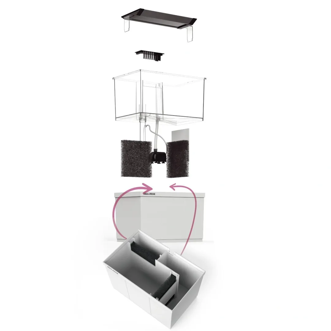 Online Armatus XS Saltvandsakvarium med sump 4 Liter Akvarier Til Saltvandsfisk|Akvarier