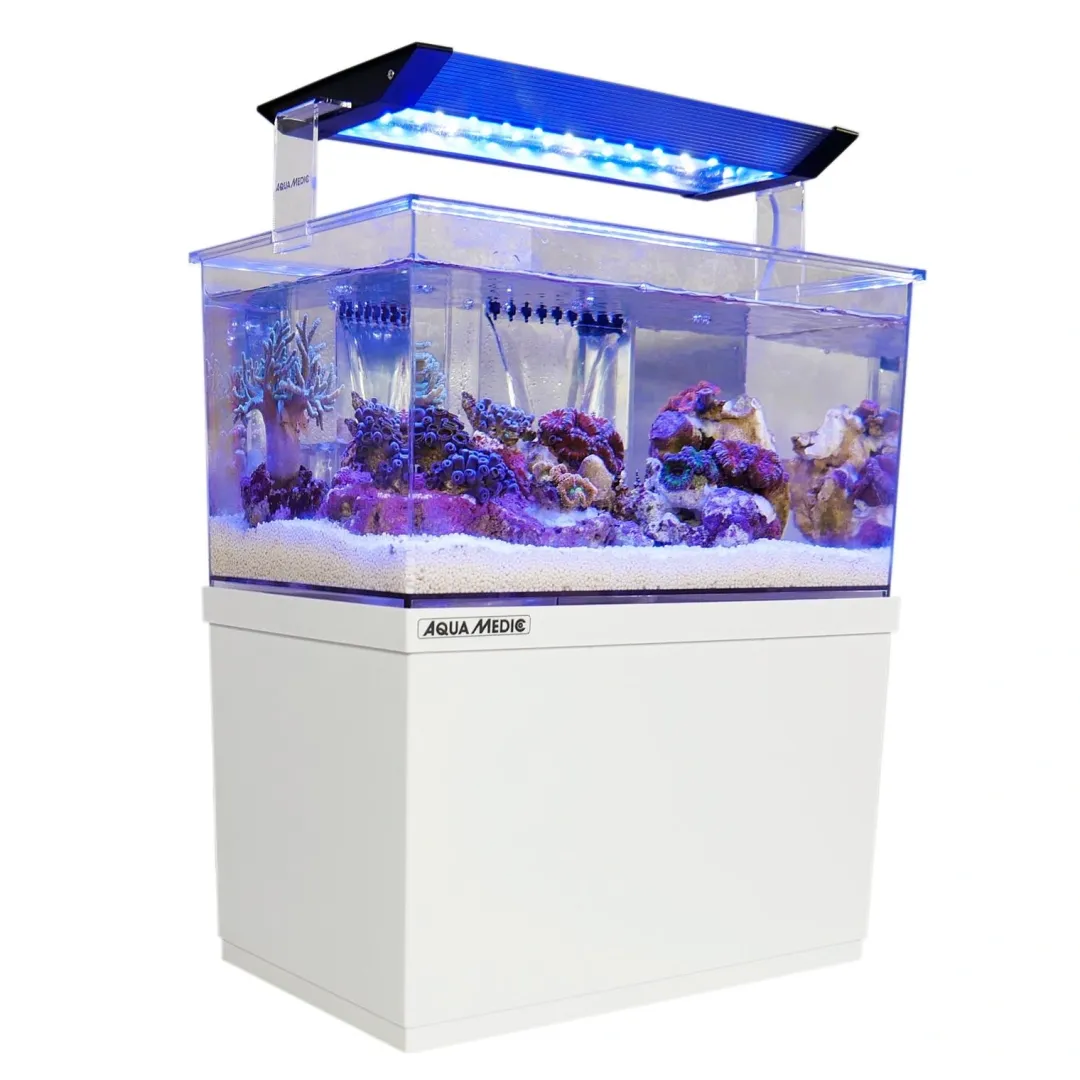 Online Armatus XS Saltvandsakvarium med sump 4 Liter Akvarier Til Saltvandsfisk|Akvarier