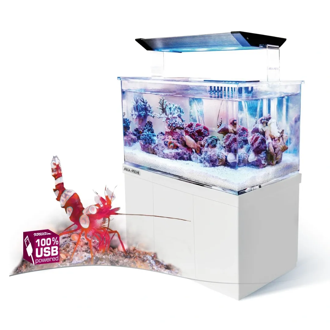 Online Armatus XS Saltvandsakvarium med sump 4 Liter Akvarier Til Saltvandsfisk|Akvarier