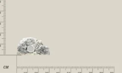 New Modul C Kalk Akvariebaggrunde