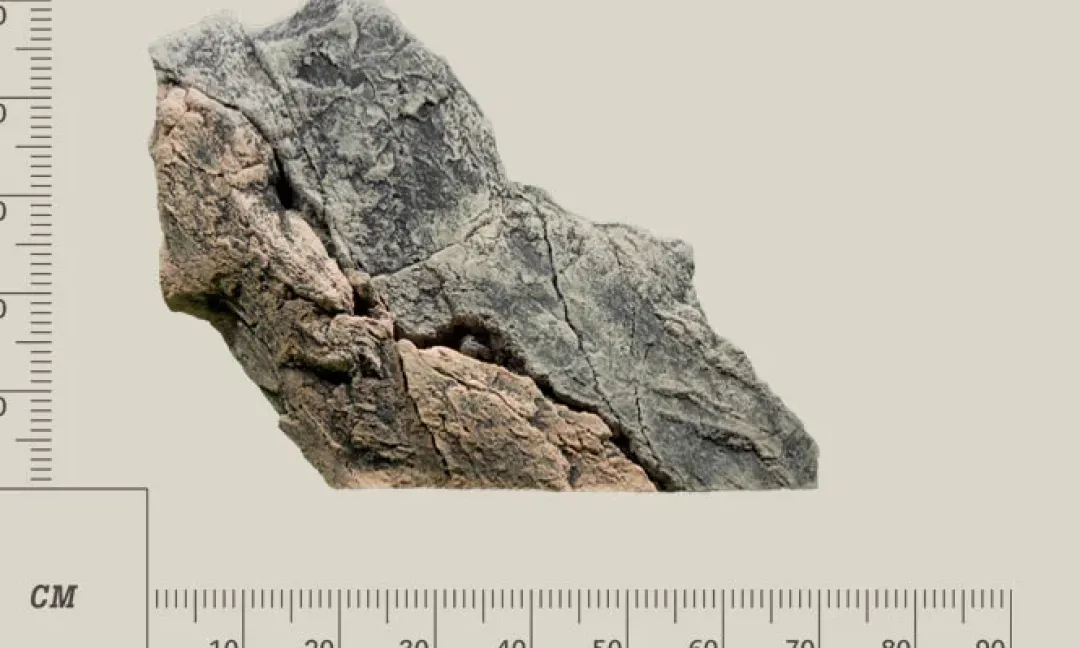 Clearance Modul E Basalt granit Akvariebaggrunde