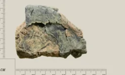Discount Modul F Basalt granit Akvariebaggrunde
