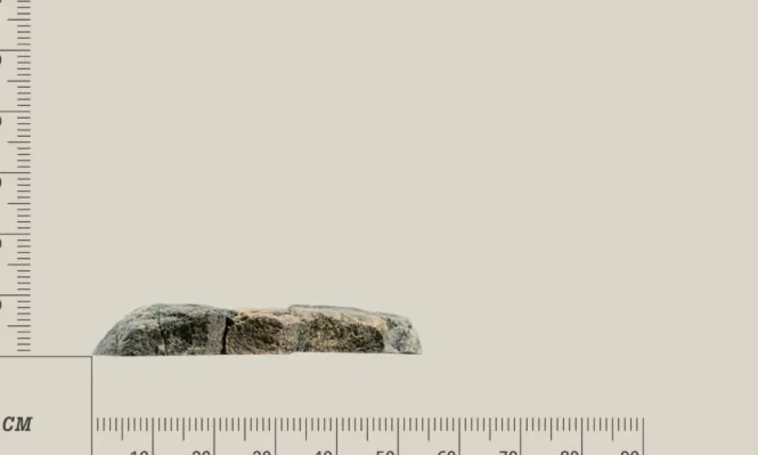Discount Modul F Basalt granit Akvariebaggrunde