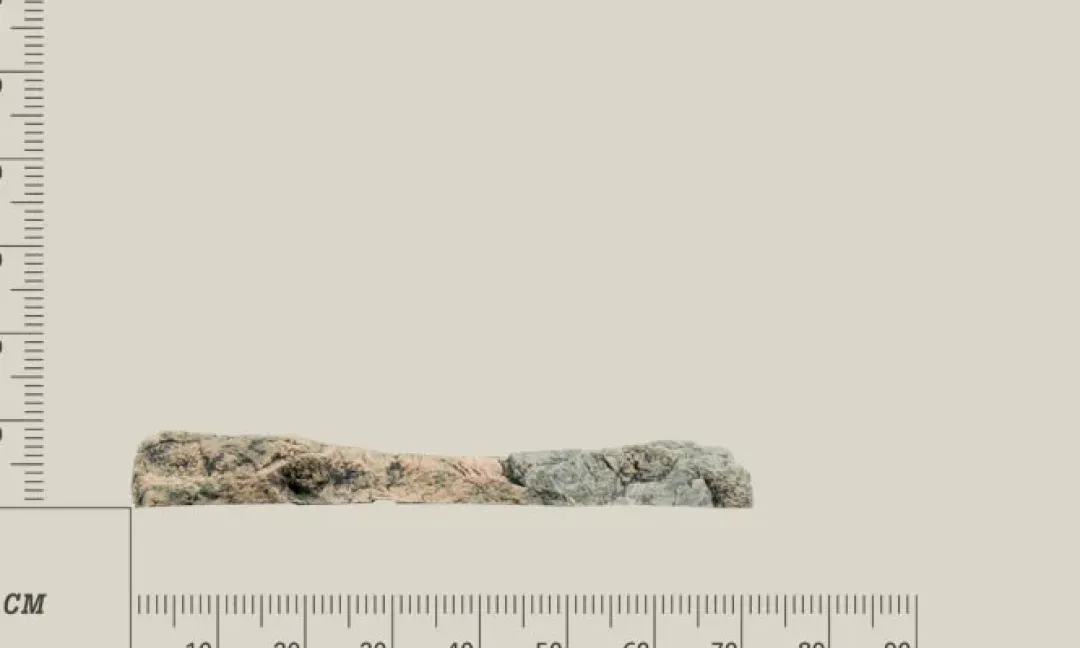 Discount Modul F Basalt granit Akvariebaggrunde