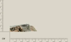 Clearance Modul G Basalt granit Akvariebaggrunde