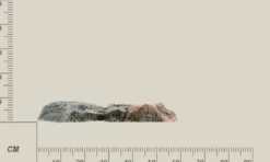 Hot Modul N Basalt granit Akvariebaggrunde